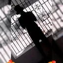 @gy_dussa