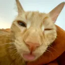 @garfielfjr