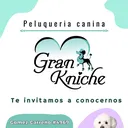 @_gran.knichepeluqueria