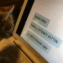 @stinkykittin
