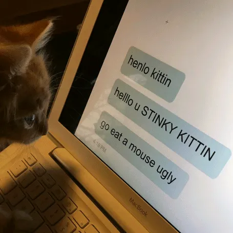 stinkykittin