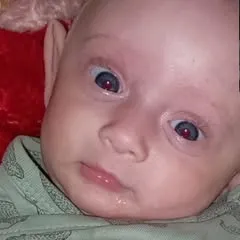 @kevinahmetovic3