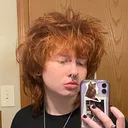 @the.rodent.agenda