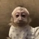 @thisisnotchloo