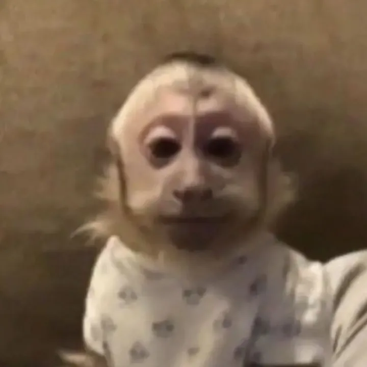 thisisnotchloo