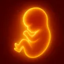 @journeylifebaby