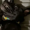 @lilchunkylunky