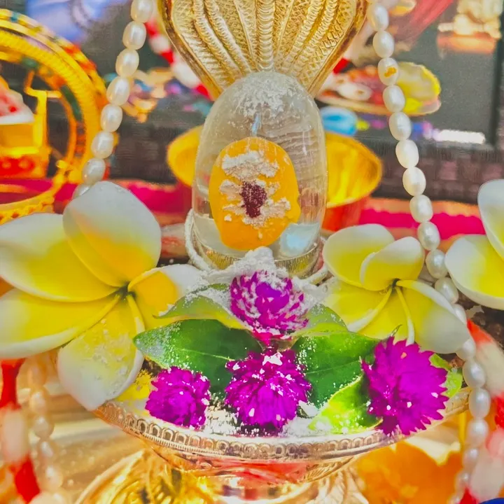 @lavanya.p.s