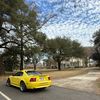 bloomburg_nate
