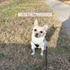 mylittlemaya0