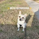@mylittlemaya0