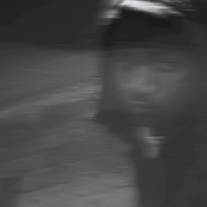 2_enzo