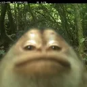@itsclairreee