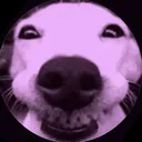 @_zootttt