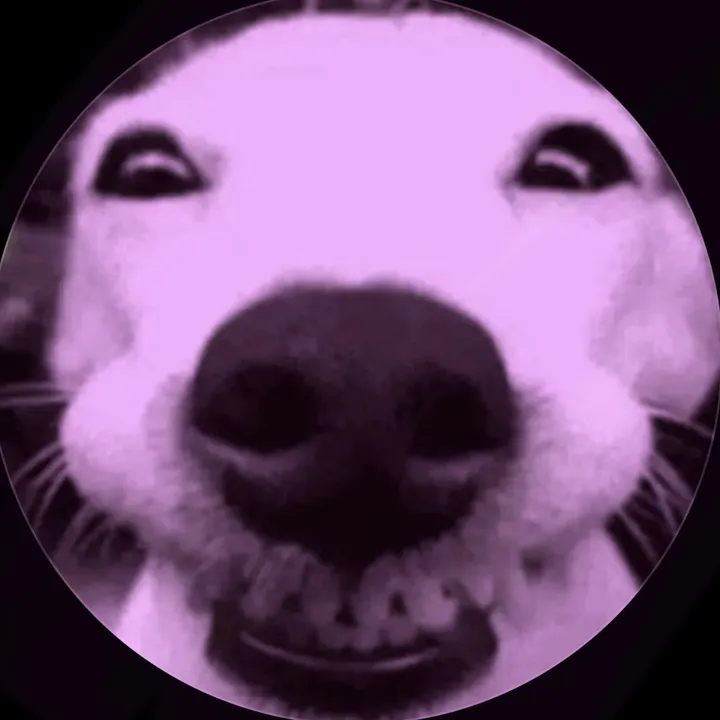 _zootttt