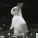 @secret_angei