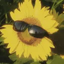 @quillandcompass4