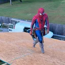 @spider503r
