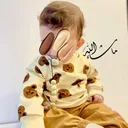 @areegmohammed97