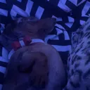 @loladurham0xx