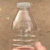 probottleflippers