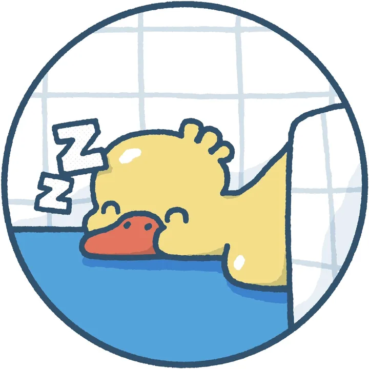 ducks_in_space