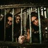 identitycrisisofficial
