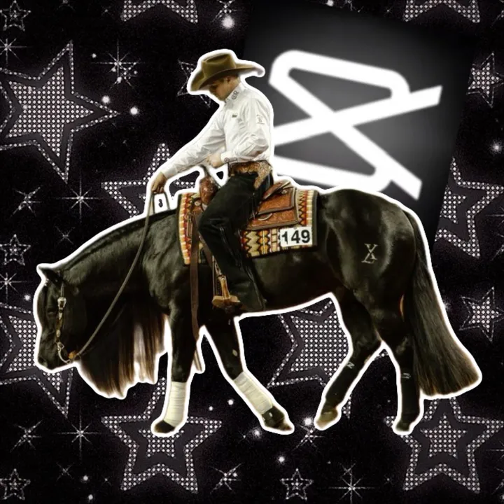 @equestrianedits.x0x0