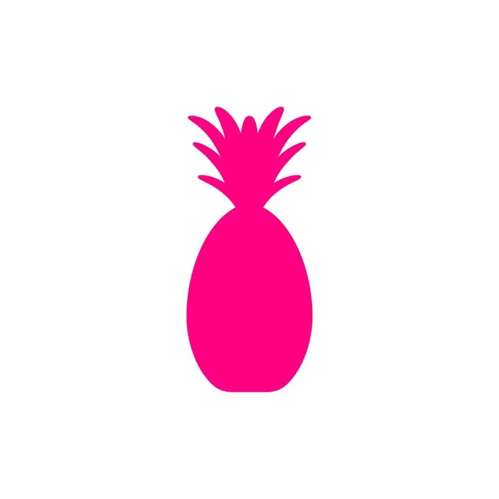 pinaq_official