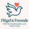 flgel.freunde