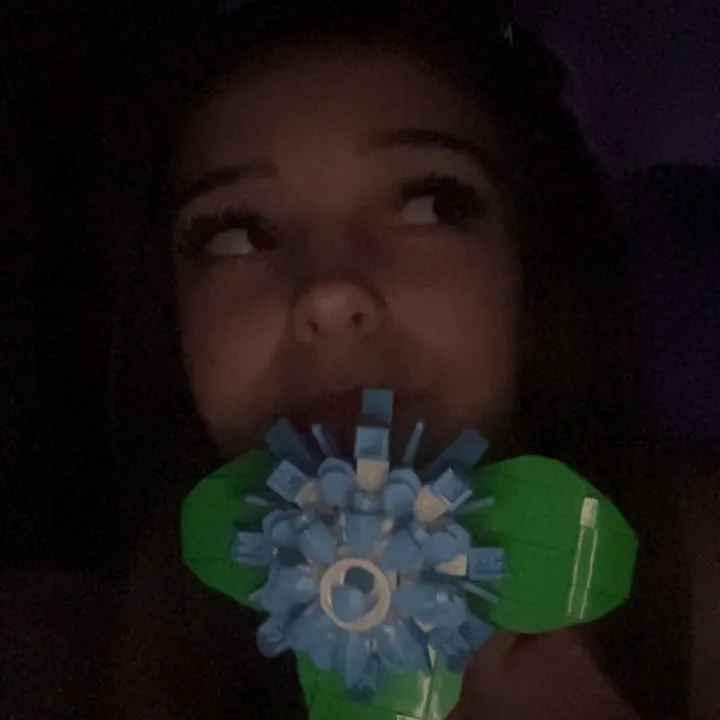 bea_xx12