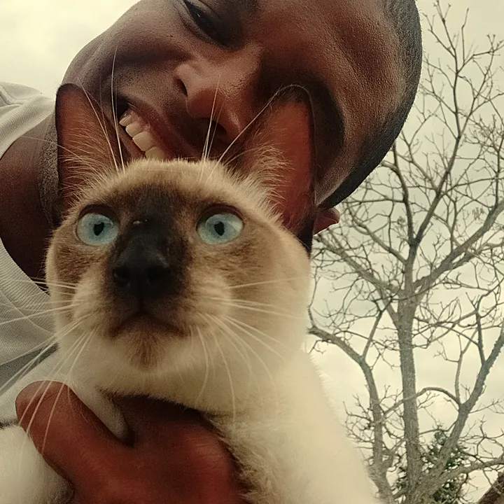 @wellington_737