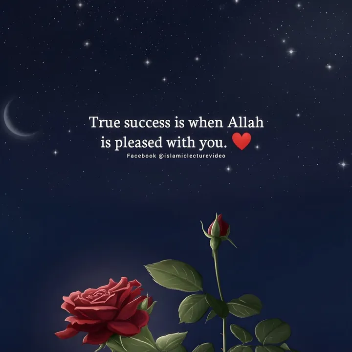 rizwana774