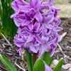 just_me_being_me678