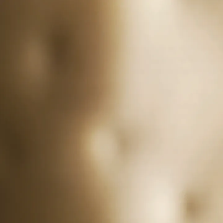 xphoenixkingx
