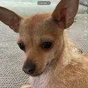 @ogthrifter