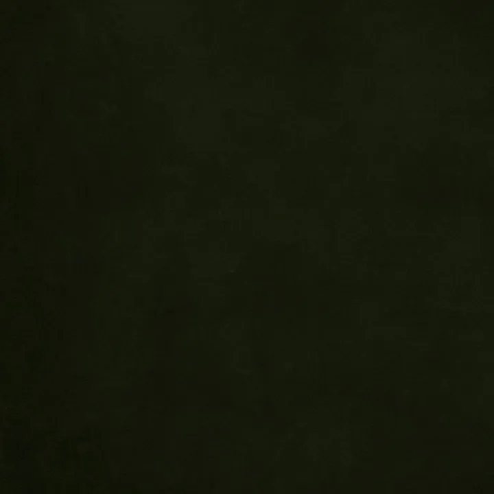 @svvilyn