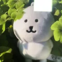 @xo0wq9r5v4