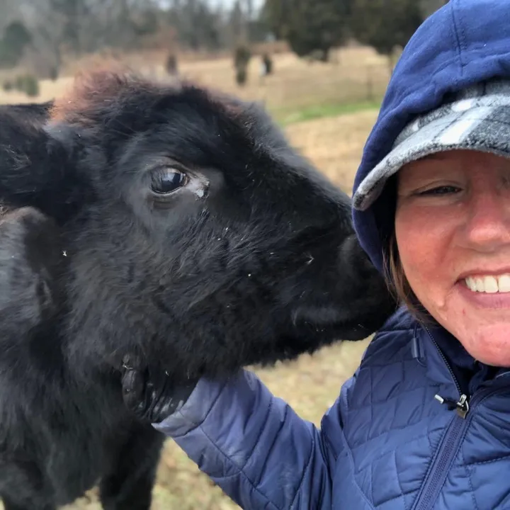 easilydistractedby2cows