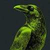followthecrowstv