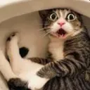 @qubak_