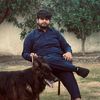 mian__mubeen
