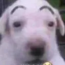 @untu_bentxd