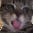 @anthonydan101a