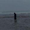 alim_zx7