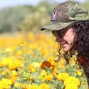 @desertique