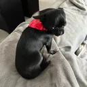 @impedbfjl8r