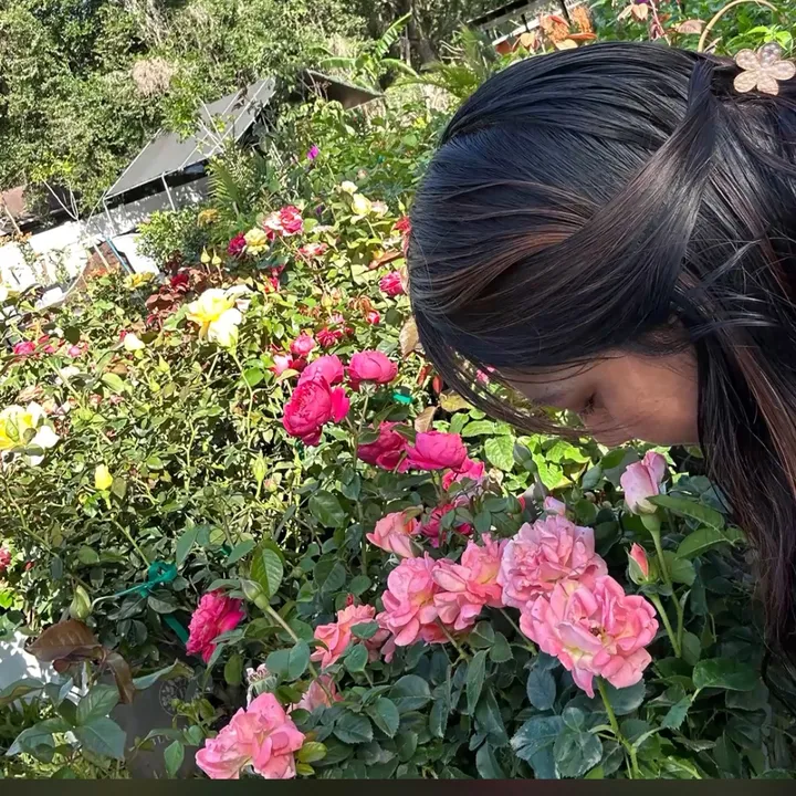 @carmendiaz732