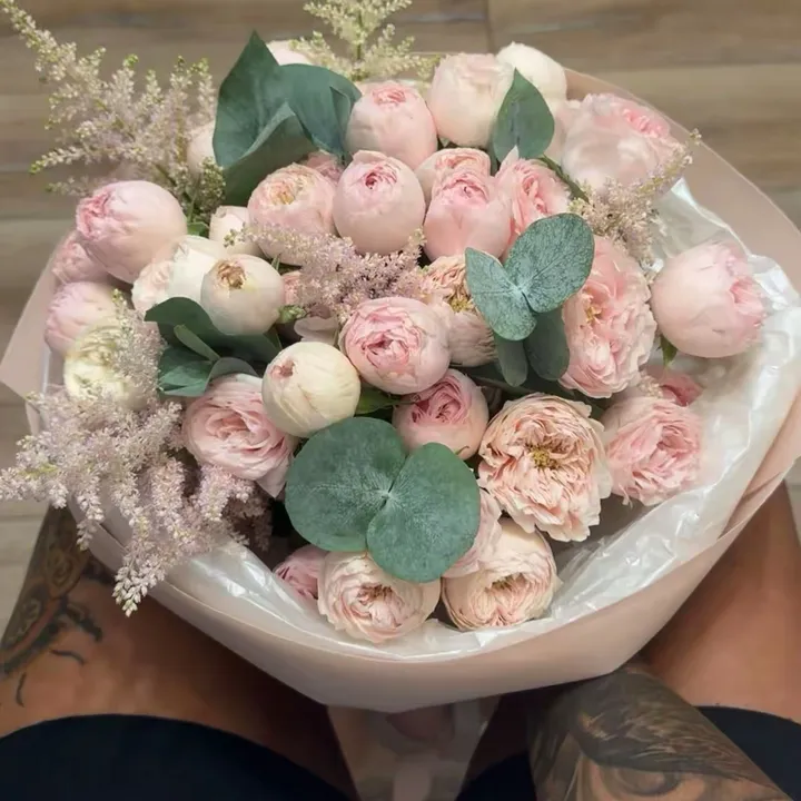 @alekssaida