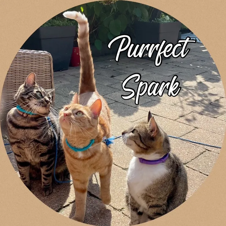 purrfectspark